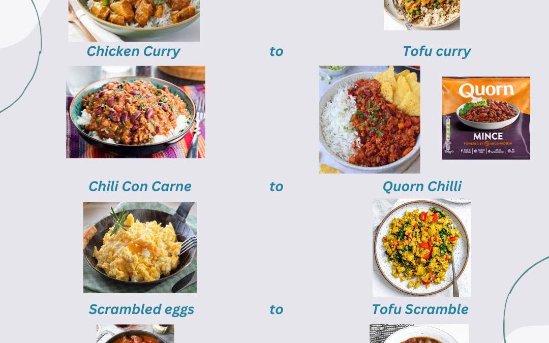 Veggie Protein Alternatives