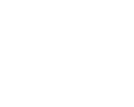 bua-logo